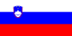 Flag of Slovenščina
